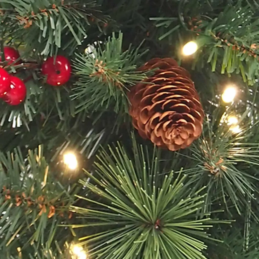 Buy Christmas Trees Online