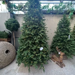 Christmas Trees for Sale Near Me